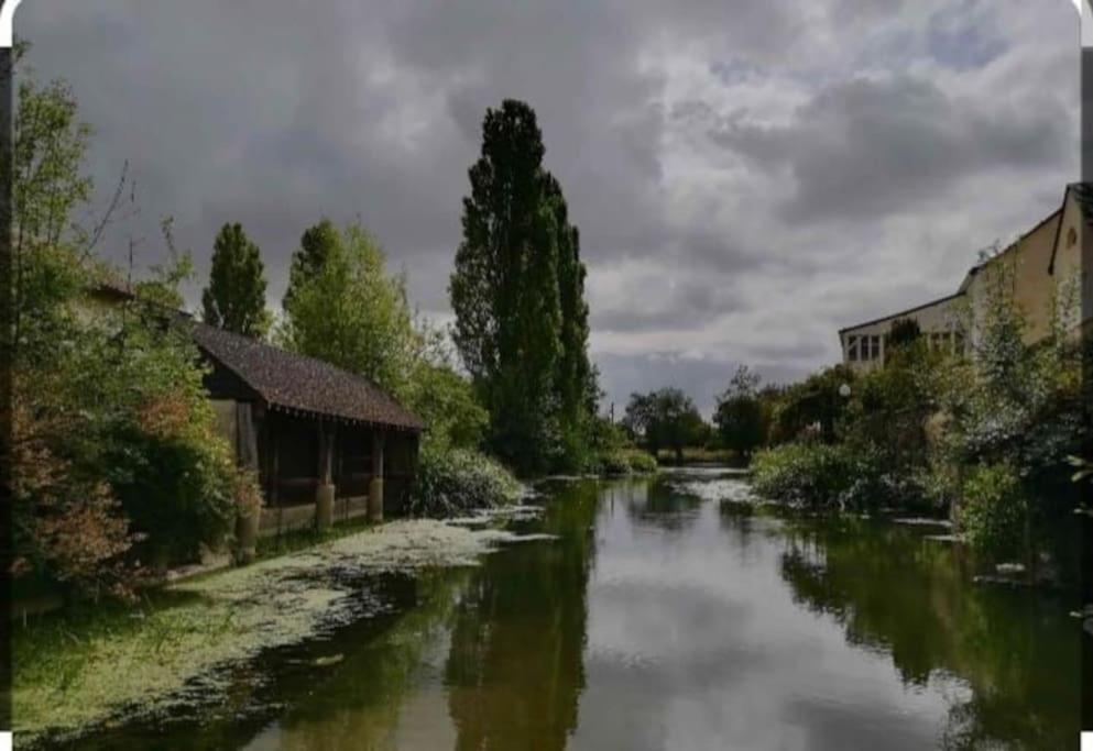 Appartement Rez De Jardin La Chartre-sur-le-Loir Luaran gambar